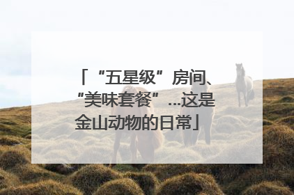 “五星级”房间、“美味套餐”…这是金山动物的日常